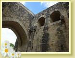 Provins_Visite (20)